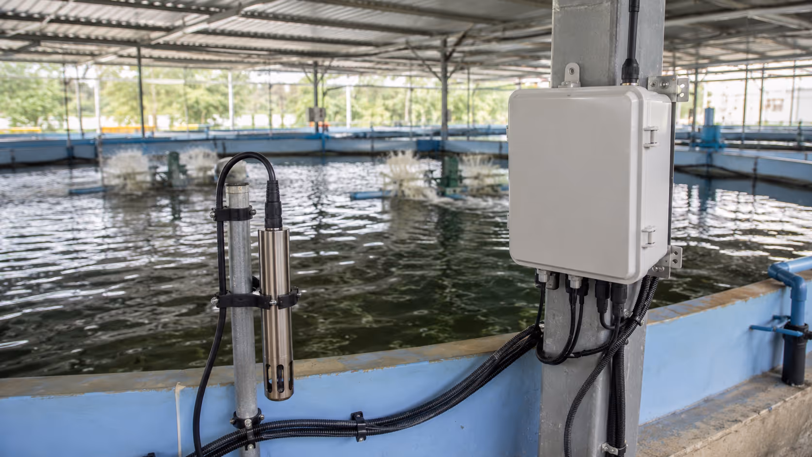Pond monitoring system with water probe, controller, and aeration equipment.